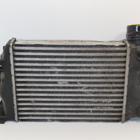 Echangeur air occasion NISSAN QASHQAI II Phase 1 02-2014->... 1.2i 115ch 144614ED0A