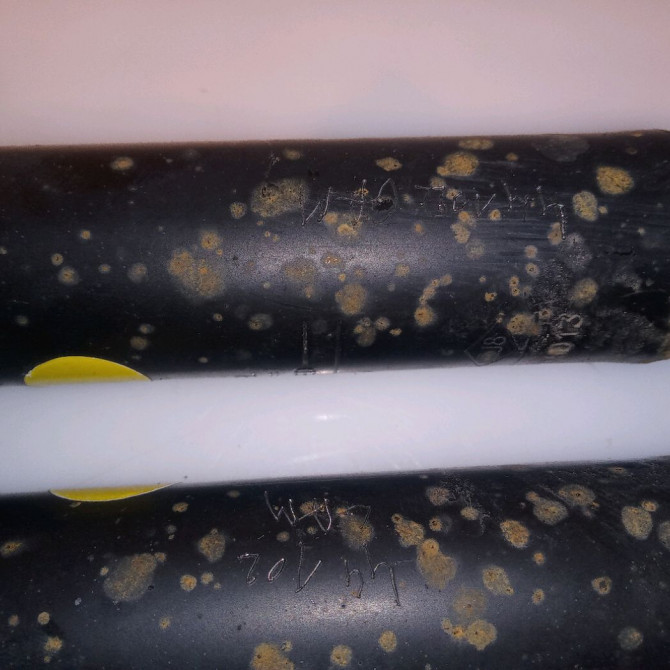 Amortisseur arrière droit occasion DACIA SANDERO II Phase 1 10-2012->... 1.2i 75ch 562103901R 2