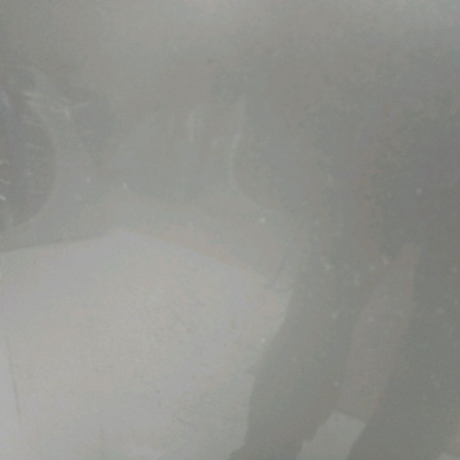 Capot occasion CITROEN C5 I Phase 1 03-2001->09-2004 2.0 HDi 110ch 7901H9 2