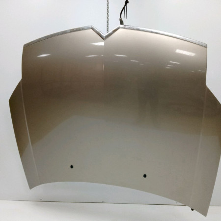 Capot occasion CITROEN C6 Phase 1 12-2005->03-2013 2.2 HDI 170ch 790143