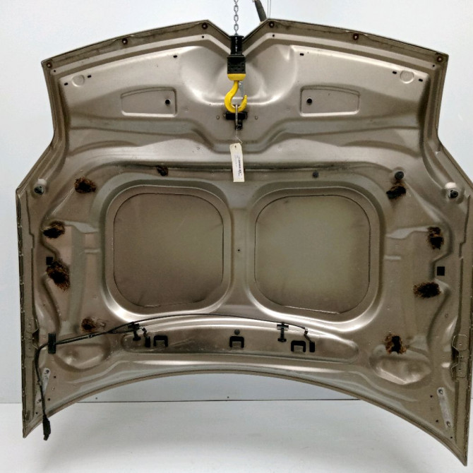 Capot occasion CITROEN C6 Phase 1 12-2005->03-2013 2.2 HDI 170ch 790143 2