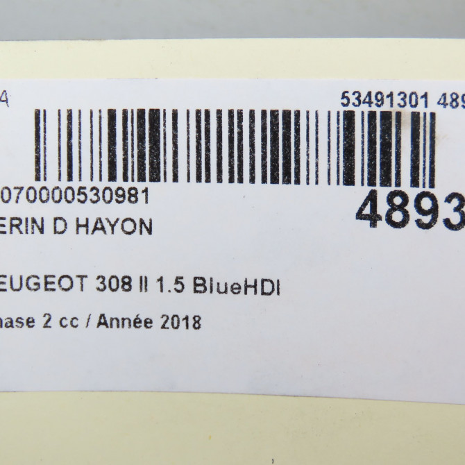 Verin droit hayon occasion PEUGEOT 308 II Phase 1 04-1995->04-1999 1.5 BlueHDI 100ch 9807899380 3