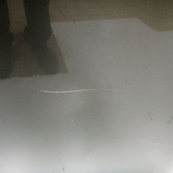 Capot occasion TOYOTA PRIUS II 5330147030 3