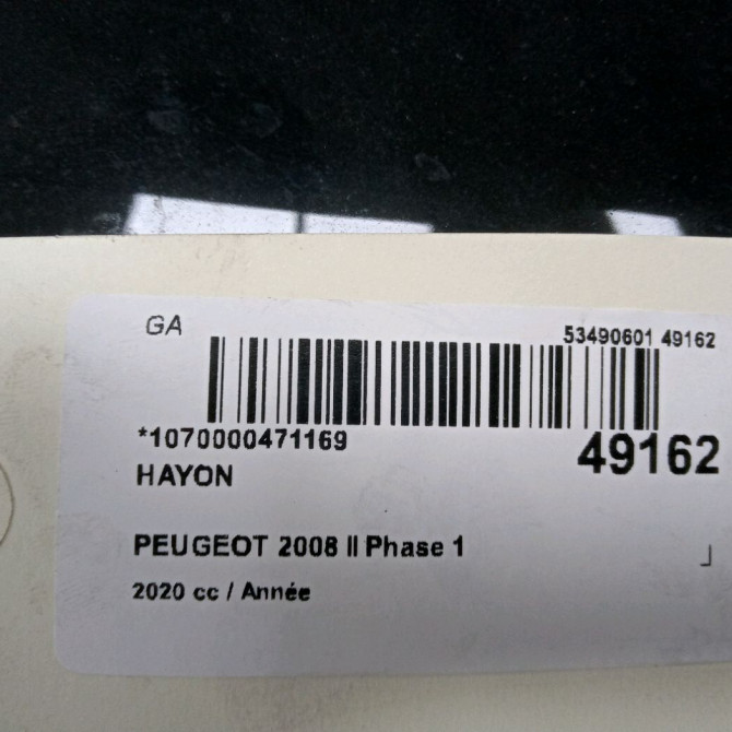 Hayon occasion PEUGEOT 9831045880 3