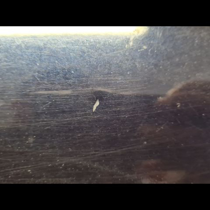 Porte avant droite occasion OPEL ZAFIRA I Phase 1 03-1999->07-2005 2.2 DTI 16v 125ch 13189980 2