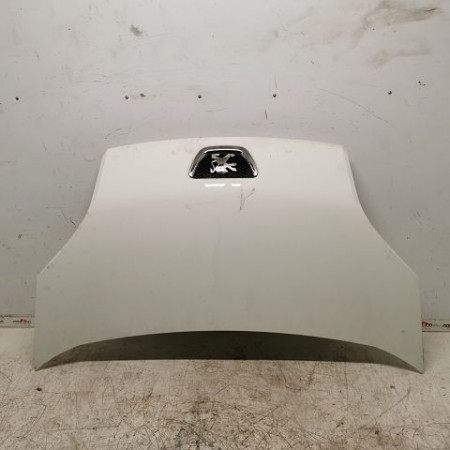 Capot occasion PEUGEOT BIPPER Phase 1 03-2008->... 1.4 HDI 70ch 7901Q0