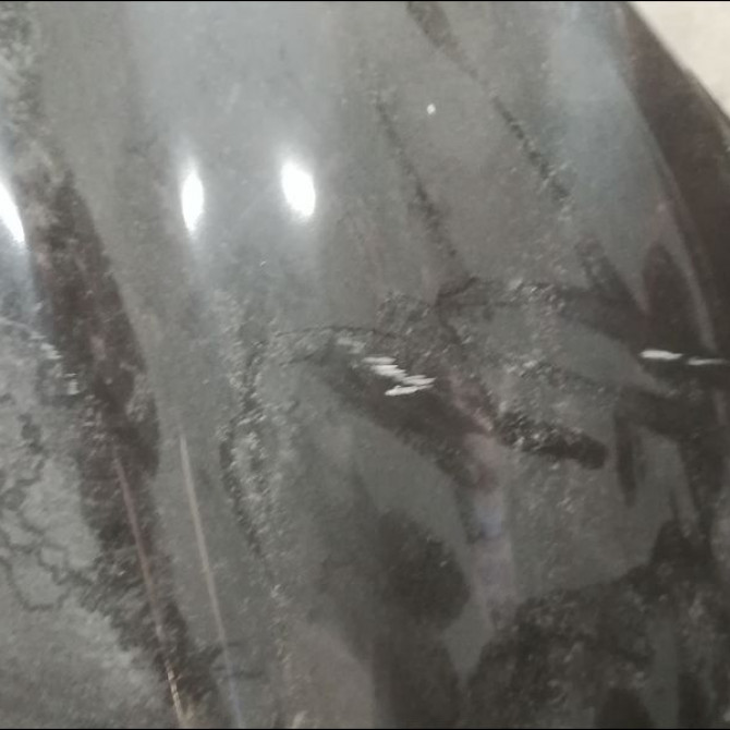 Capot occasion MERCEDES CLASSE S II Phase 1 04-1991->09-1998 2208800357 3