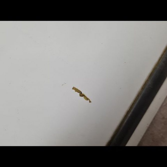 Porte avant droite occasion NISSAN MICRA II Phase 1 10-1992->09-1996 801000U930 2