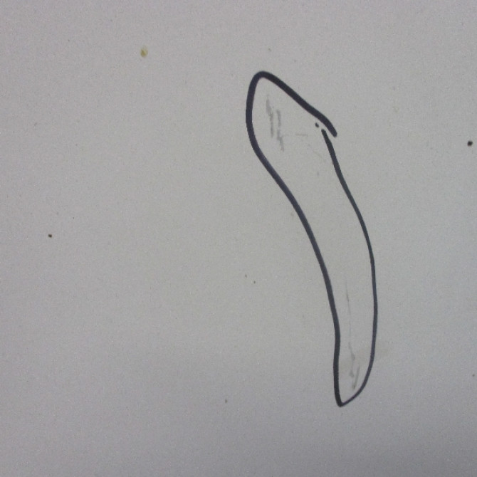 Capot occasion PEUGEOT BOXER I Phase 1 07-1994->02-2002 7901C0 3