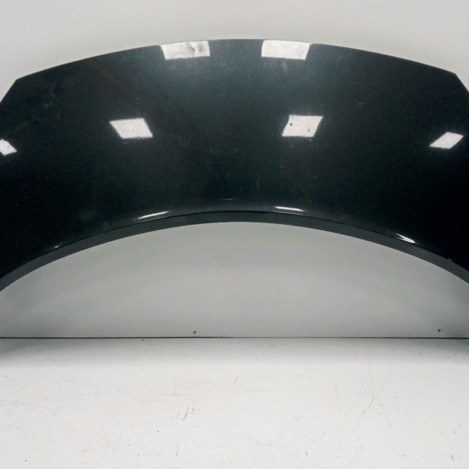 Capot occasion RENAULT SCENIC II Phase 2 09-2006->04-2009 1.9 DCI 130ch 651001097R 1