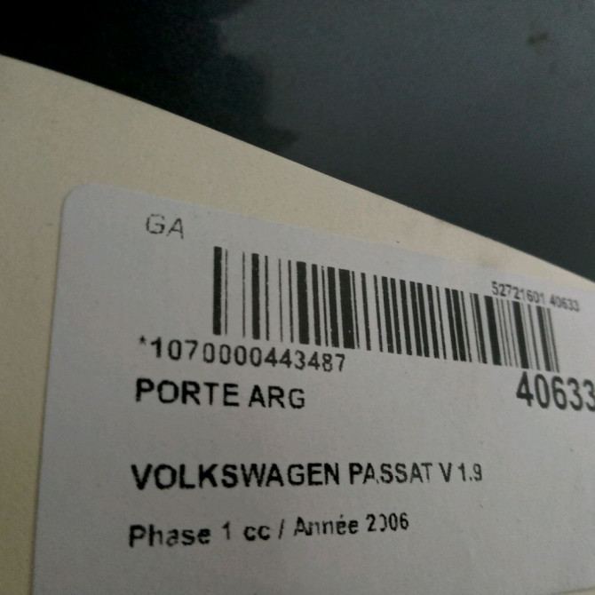 Porte arrière gauche occasion VOLKSWAGEN PASSAT V Phase 1 03-2005->10-2010 1.9 TDI 105ch 3C5833055H 3