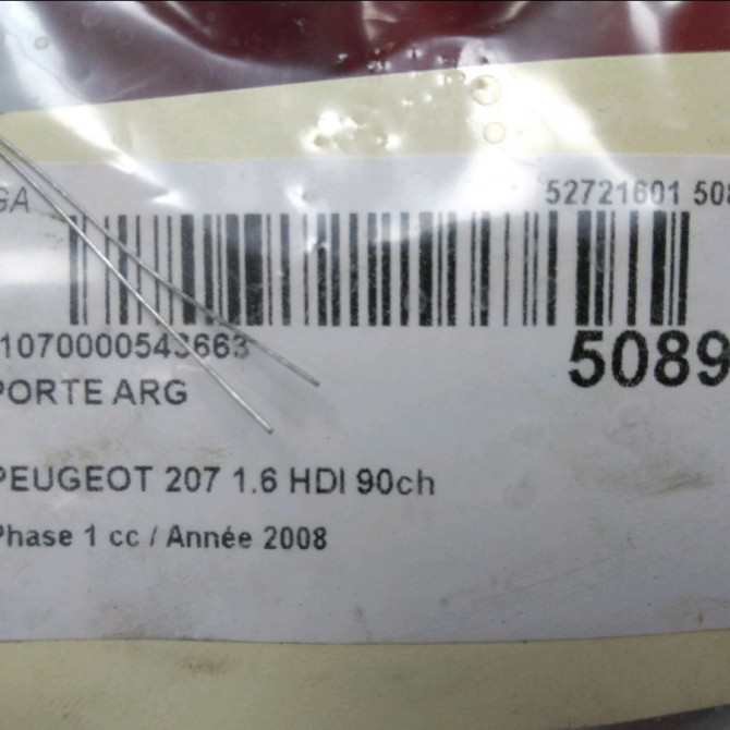Porte arrière gauche occasion PEUGEOT 207 Phase 1 04-2006->06-2013 1.6 HDI 90ch 9006Q2 7