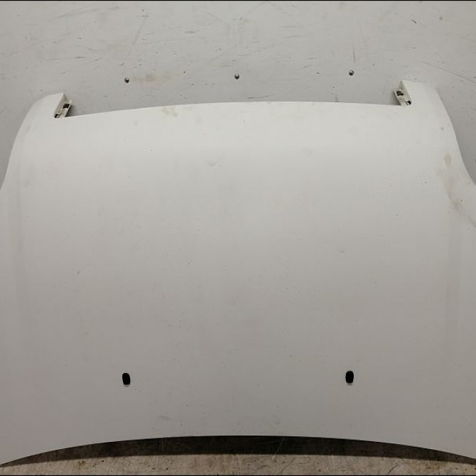 Capot occasion FORD FUSION Phase 2 10-2005->09-2011 1.4 TDCI 1532551 1