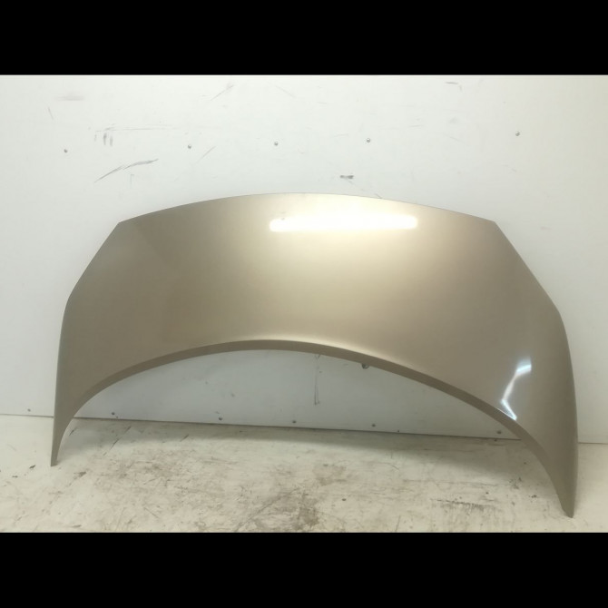 Capot occasion RENAULT SCENIC II Phase 2 09-2006->04-2009 1.5 DCI 105ch 651001097R 1