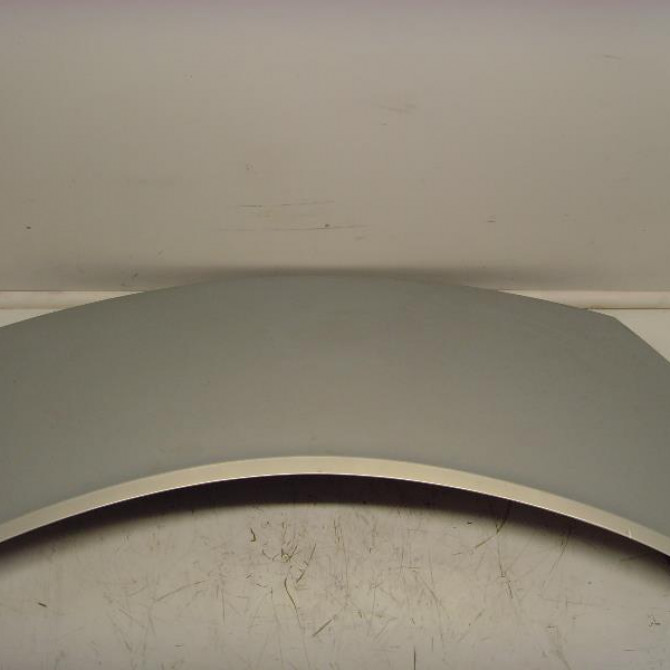 Capot occasion RENAULT SCENIC II Phase 1 03-2004->09-2006 1.5 DCI 100ch 7751474289 1