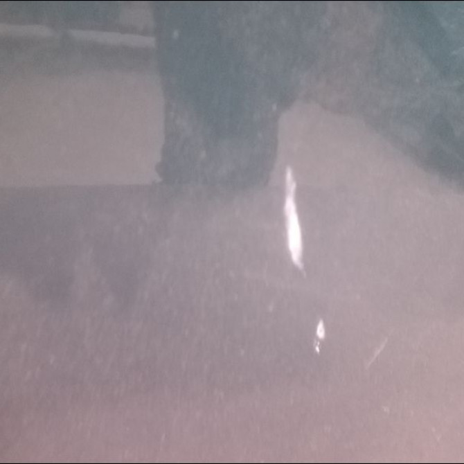 Porte avant gauche occasion SEAT CORDOBA I phase 2 VARIO 09-1999->10-2002 1.9 SDI 68ch 6K4831051C 2