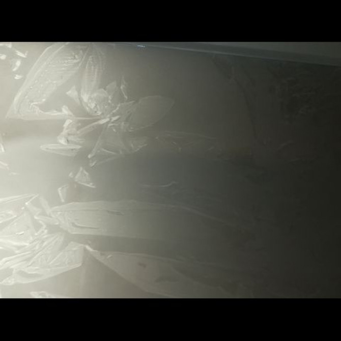 Porte avant droite occasion RENAULT TRAFIC II Phase 2 08-2006->... 2.0 DCI 16v 115ch 2