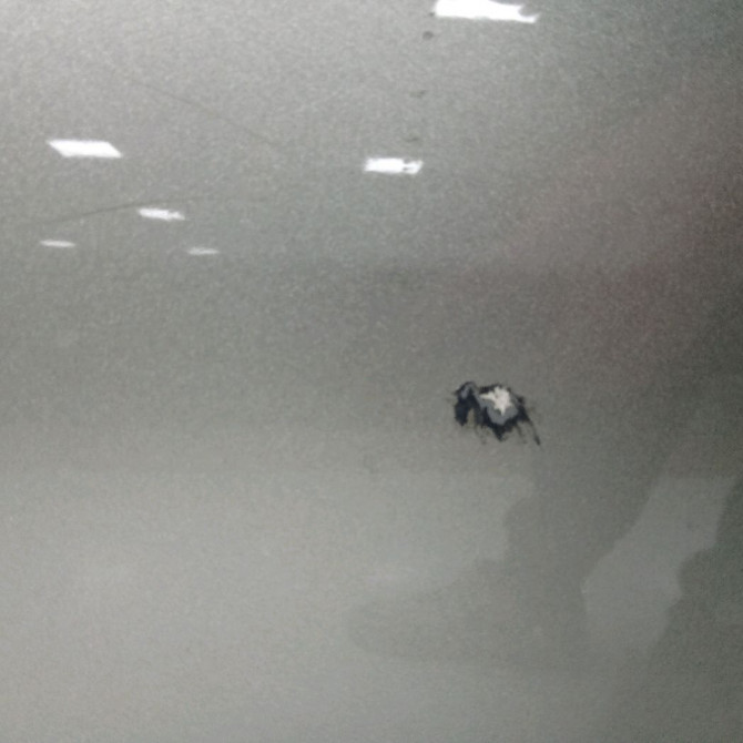 Porte arrière gauche occasion RENAULT ESPACE III Phase 1 12-1996->09-2002 2.2 DCI 130ch 6025370567 2