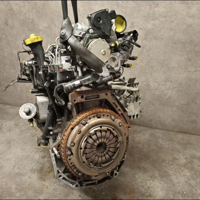 Moteur diesel occasion RENAULT CLIO III Phase 2 03-2009->12-2014 1.5 DCI 75ch 1