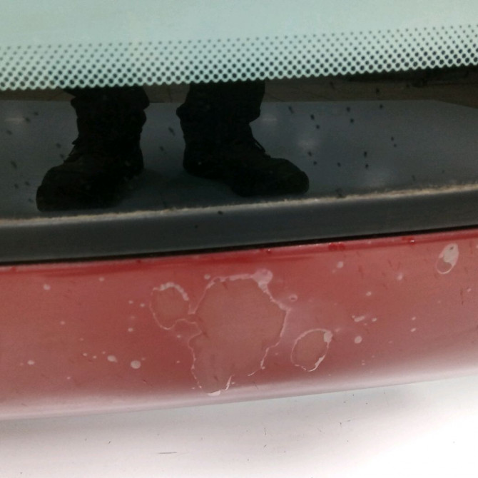 Hayon occasion PEUGEOT 306 Phase 2 04-1997->03-2002 1.9 TD 8701L4 2