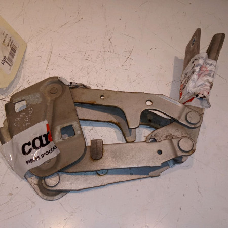 Compas d capot occasion PEUGEOT 406 791244