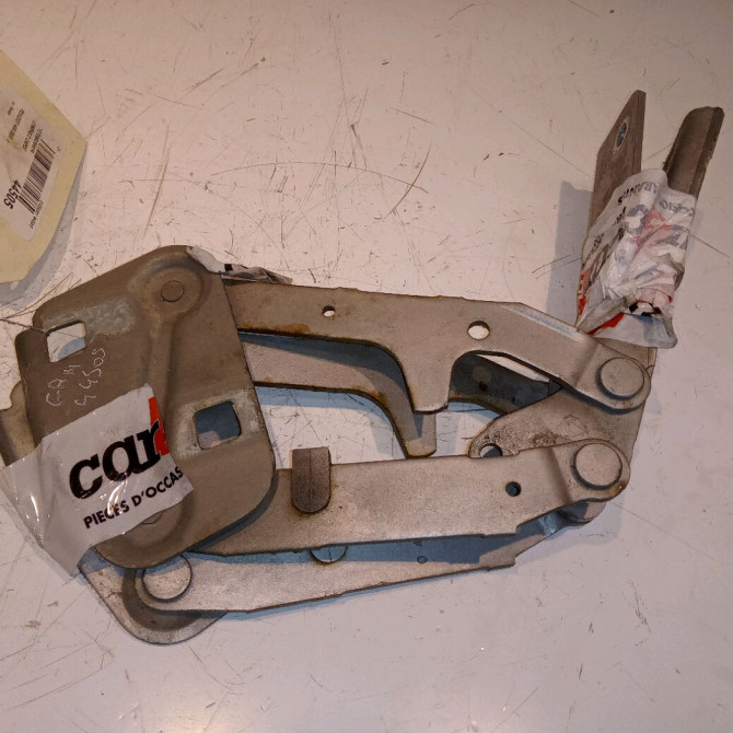 Compas d capot occasion PEUGEOT 406 791244 1