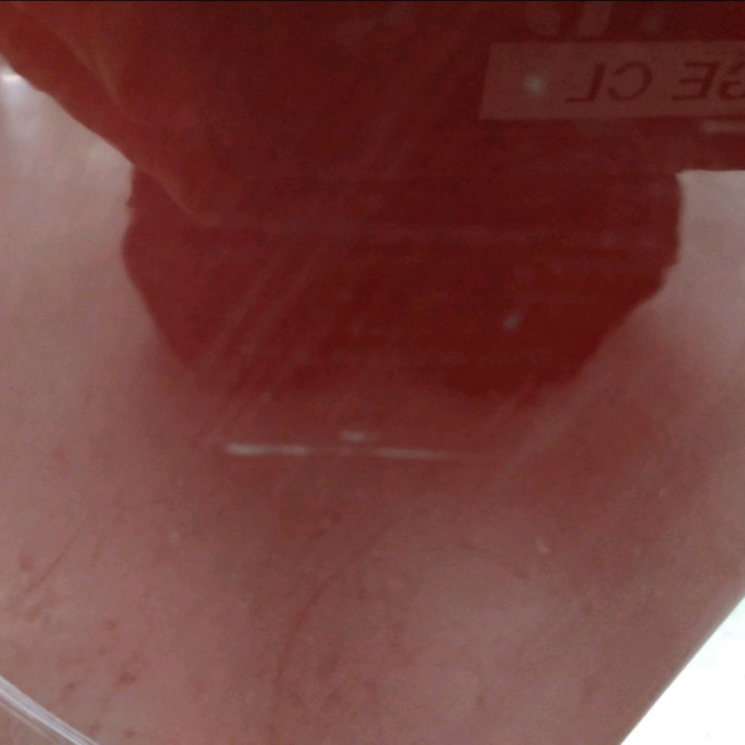 Porte arrière gauche occasion NISSAN JUKE Phase 1 09-2010->... 1.5 DCI 110ch H2A01BA6MC 5