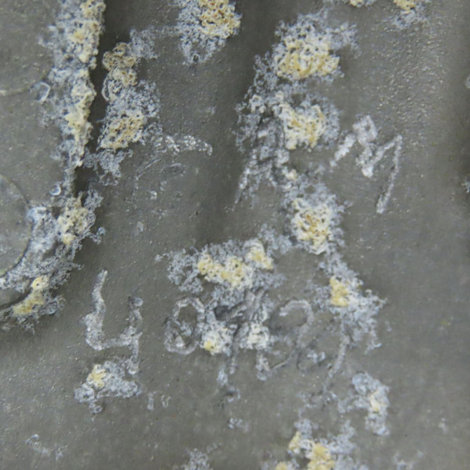 Moteur diesel occasion CITROEN C3 I Phase 1 04-2002->10-2005 1.4HDI 8v 70ch 135EJ 6