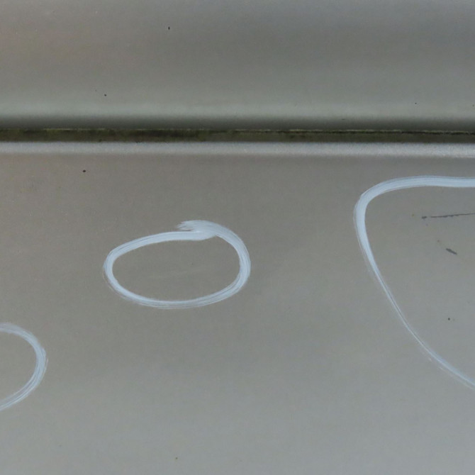 Porte avant gauche occasion NISSAN X-TRAIL I Phase 2 01-2004->11-2007 2.2 DCI 6