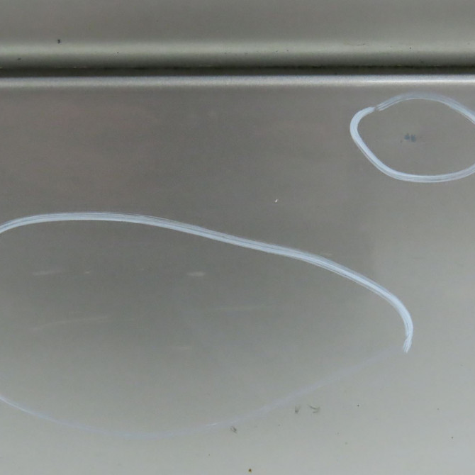 Porte avant gauche occasion NISSAN X-TRAIL I Phase 2 01-2004->11-2007 2.2 DCI 7