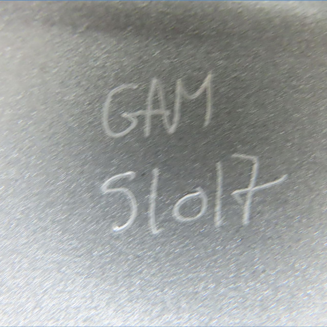 Porte avant gauche occasion NISSAN X-TRAIL I Phase 2 01-2004->11-2007 2.2 DCI 8