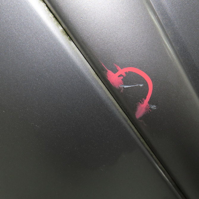 Porte arrière gauche occasion NISSAN X-TRAIL I Phase 2 01-2004->11-2007 2.2 DCI 3