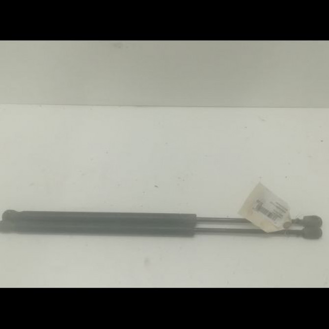 Verin droit hayon occasion RENAULT SCENIC II Phase 1 03-2004->09-2006 1.9 DCI 120ch 8200377789 1