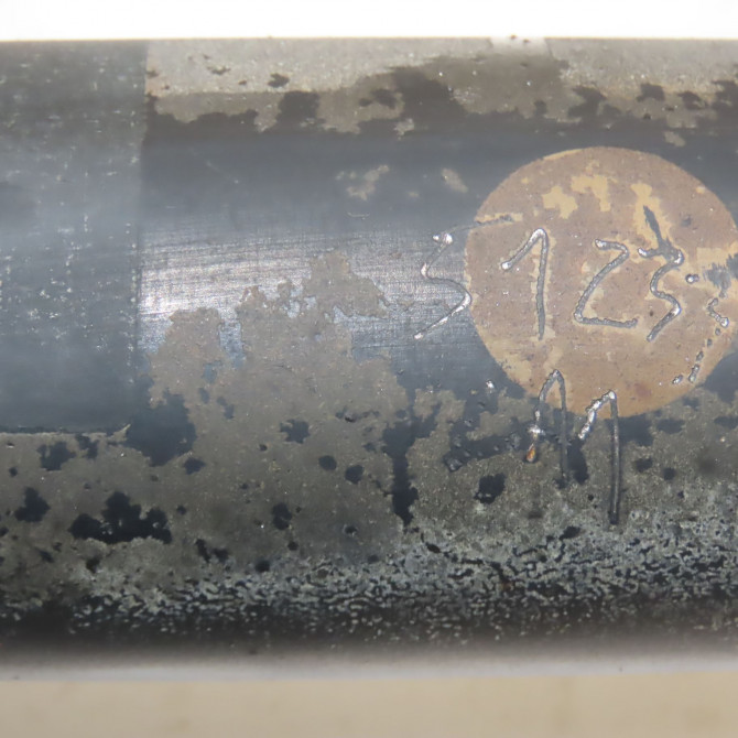 Amortisseur arrière droit occasion PORSCHE 146 Phase 1 04-1995->04-1999 3.4i 301ch 99633305185 6