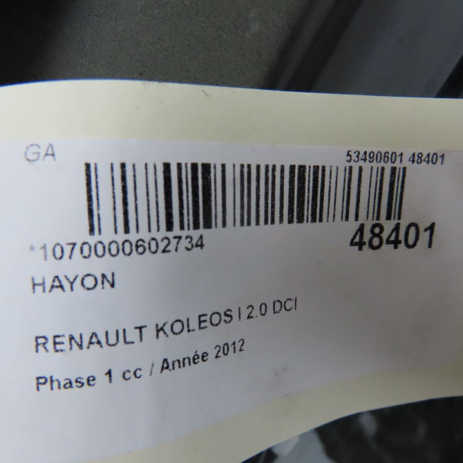 Hayon occasion RENAULT KOLEOS I Phase 1 06-2008->12-2011 2.0 DCI 150ch 901008972R 4