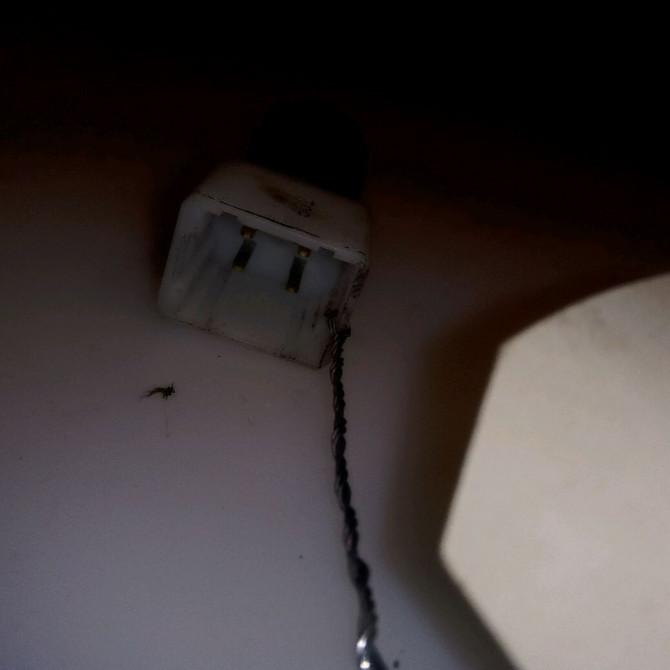 occasion RENAULT TRAFIC II Phase 2 08-2006->... 2.0 DCI 90ch 7700414988 2