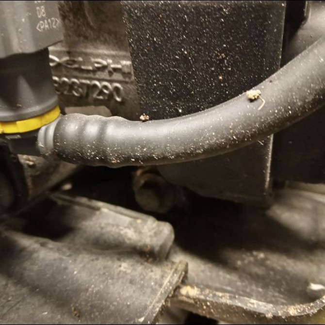 Moteur diesel occasion RENAULT CLIO III phase 2 ESTATE 03-2009->12-2014 1.5 DCI 75ch 5