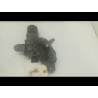 MOTEUR ESSUIE-GLACE AV