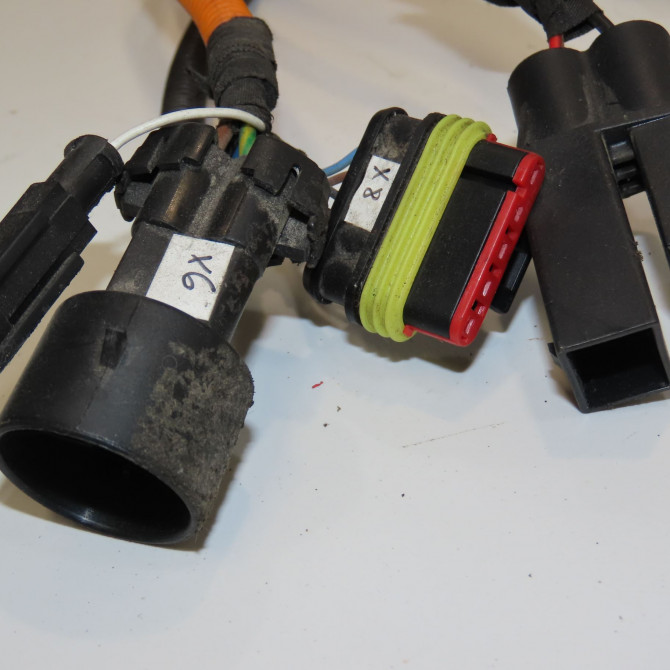 occasion BLUECAR GOLIA 4