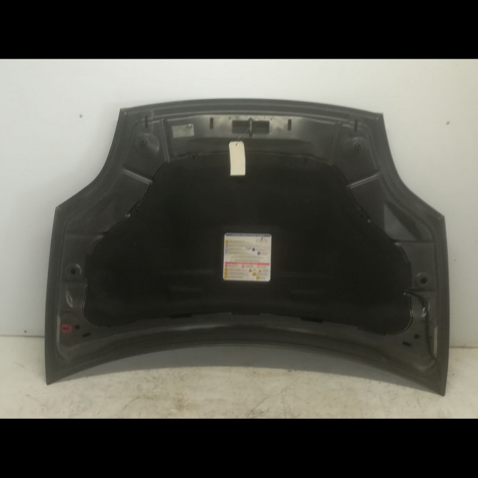 Capot occasion FIAT BRAVO II BRAVO II Phase 1 2007-03-01->2011-12-31 1.9 JTD 120ch 51775925 2