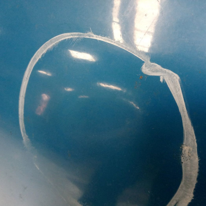 Capot occasion RENAULT MASTER II Phase 1 09-1997->11-2003 2.8 DTI 115ch 7751474717 2