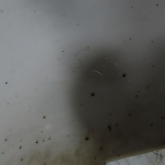 Pare-choc arrière occasion PEUGEOT 207 Phase 1 04-2006->06-2013 1.6 HDI 8v 92ch 7410Z5 7