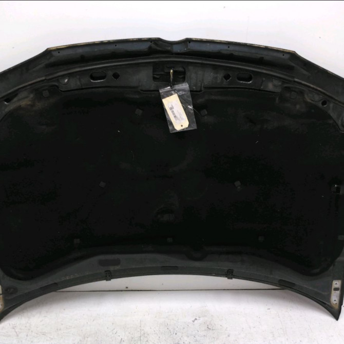 Capot occasion VOLKSWAGEN GOLF IV GOLF IV Phase 1 1998-01-01->2005-06-30 1.9 TDI 130ch 1J0823031B 2