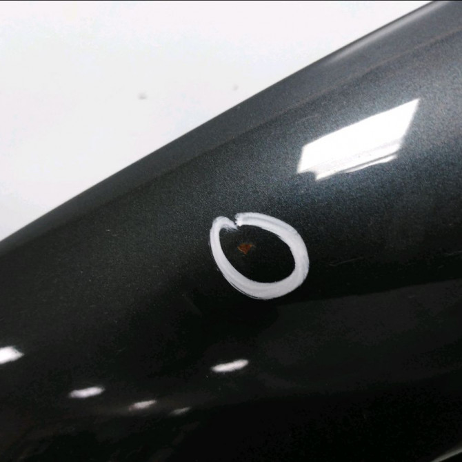 Porte avant gauche occasion VOLKSWAGEN GOLF IV GOLF IV Phase 1 1998-01-01->2005-06-30 1.9 TDI 130ch 1J4831055H 3