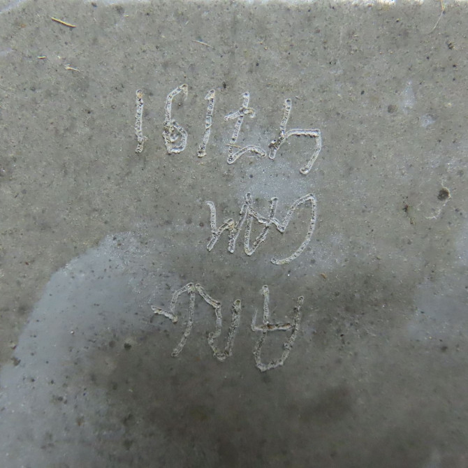 Lame de ressort arg occasion 3