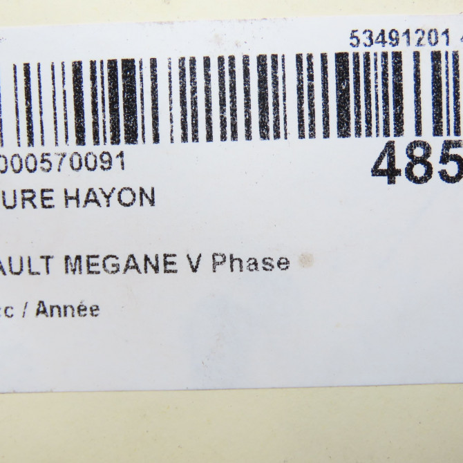 Serrure hayon occasion RENAULT 905030754R 5