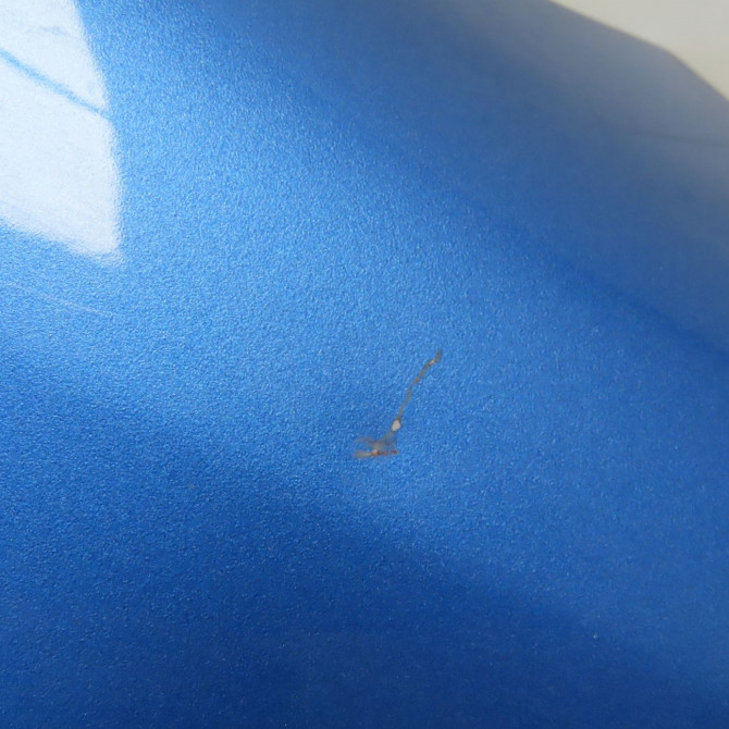 Aile avant droite occasion SUZUKI IGNIS II Phase 1 09-2003->09-2009 1.3 DDIS 5761186G20 2