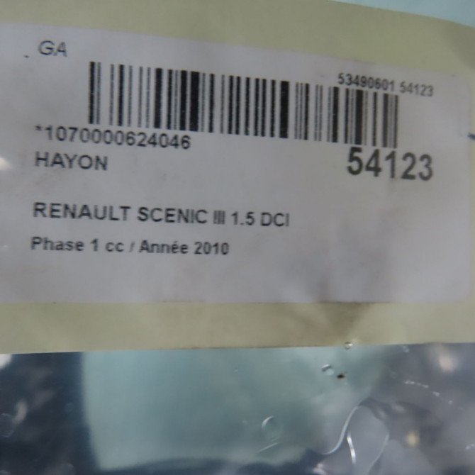 Hayon occasion RENAULT SCENIC III Phase 1 04-2009->11-2011 1.5 DCI 105ch 901001385R 7