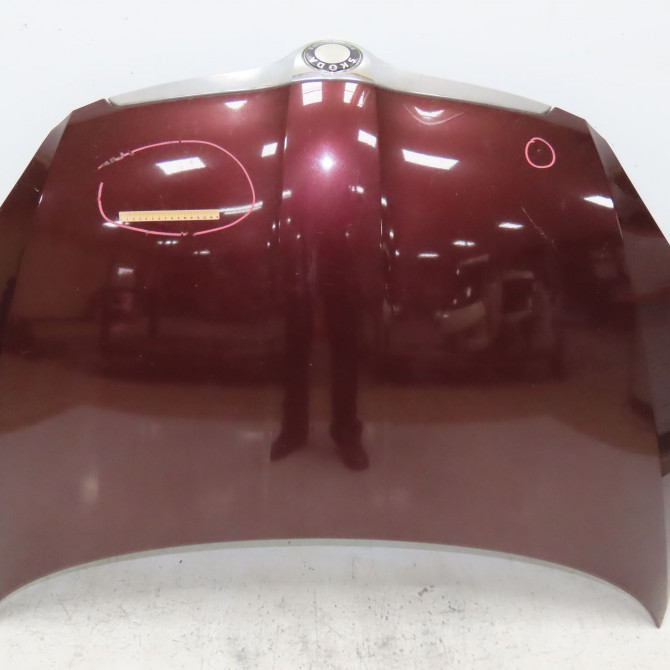 Capot occasion SKODA FABIA II Phase 1 05-2007->03-2010 1.4 TDI 80ch 5J0823031A 1