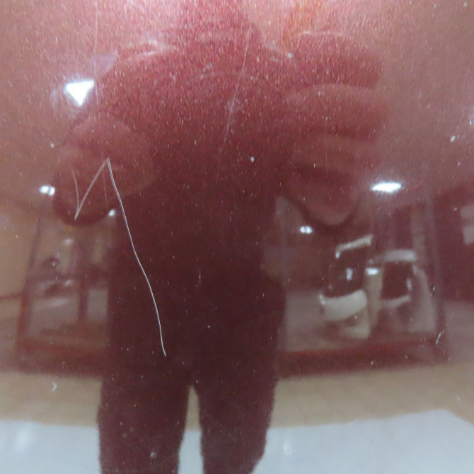 Capot occasion SKODA FABIA II Phase 1 05-2007->03-2010 1.4 TDI 80ch 5J0823031A 5